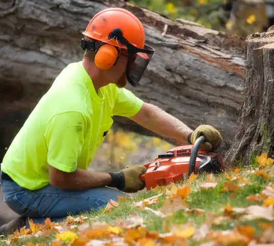 tree services Keego Harbor